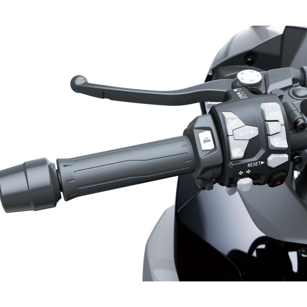 Kawasaki Grip heater